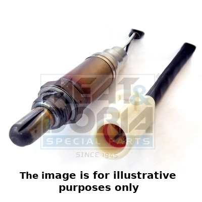 Oxygen Sensor